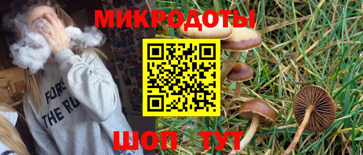Заинск  Галлюциногенные грибы ЛСД  Галлюциногенные грибы Magic Shrooms  Вход с VPN 